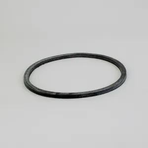 Donaldson GASKET ELEMENT 1074546 