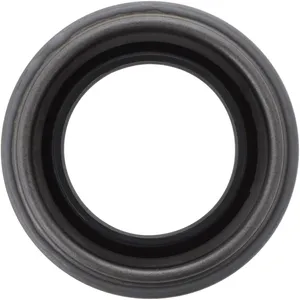 Spicer Differential Pinion Seal 233838 