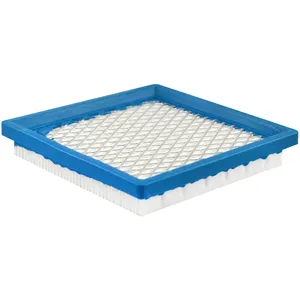 Baldwin PANEL A FILTER 1060676 