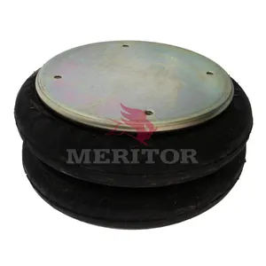 Firestone Air Spring 756598 
