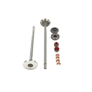 PAI KIT VALVE INT 647518 