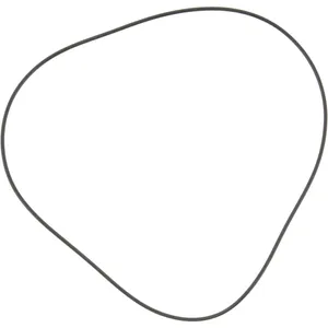 Spicer O - RING 509786 