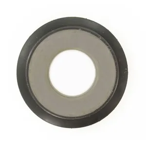 SKF Seal 495934 