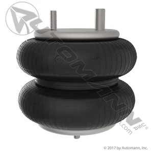 Automann Air Spring 276894 