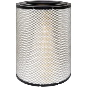 Baldwin Air Element 214684 