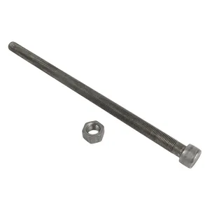 Dayton Center Bolts 245502 