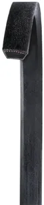 Dayco Belt 1070924 