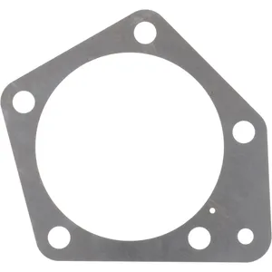 Spicer SHIM 499460 