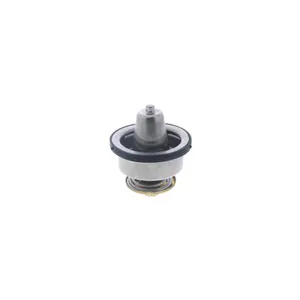 PAI Thermostat 253418 