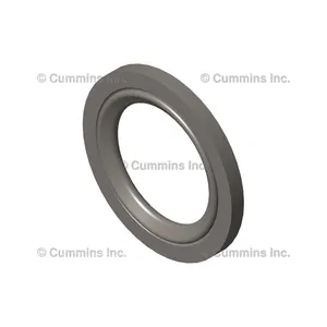 Cummins Washer 342558 