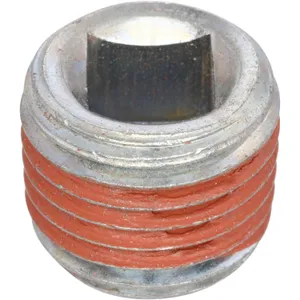 Spicer PLUG 309036 