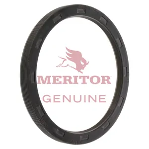 Meritor Ay-Oil Seal 745204 