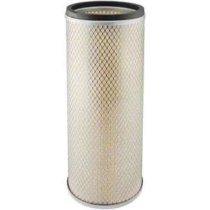 Baldwin Air Element 233862 