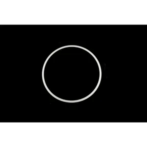 Spicer SEAL 515918 