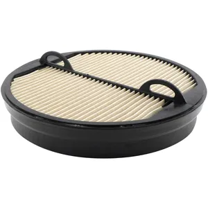 Baldwin Air Element 227748 