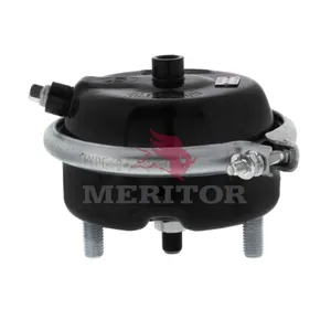 Meritor Ay-Bk Chmbr 800738 