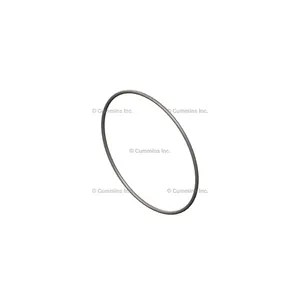 Cummins Seal O Ring 900560 