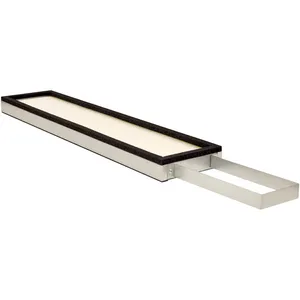 Baldwin Air Filter 293298 
