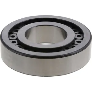 Spicer Differential Pilot Bearing 215700 