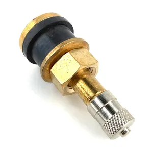 Group 31 Tire Valve Stem Extension 304840 