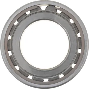 Spicer BEARING 522794 