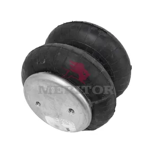Firestone Air Spring 755946 