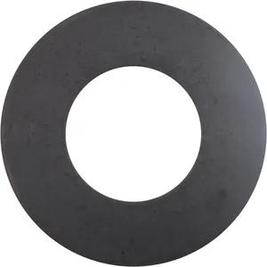 Spicer Washer 223830 