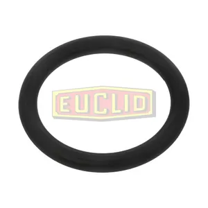 Euclid Cam Seal 319424 
