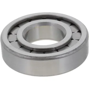 Spicer Differential Pilot Bearing 233580 