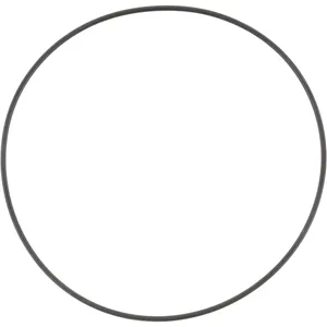 Spicer O-RING 498664 