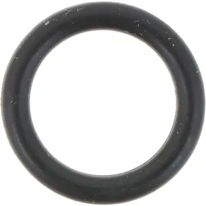 Spicer O - RING 509790 