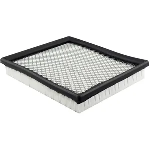Baldwin AIR FILTER 912916 