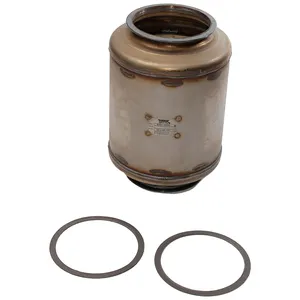 Dorman Diesel Particulate Filter (DPF) 310548 
