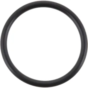 Spicer O'RING 256506 
