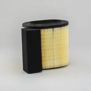 Donaldson AIR FILTER 276854 