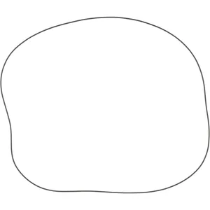 Spicer SEAL 502288 