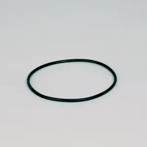 Donaldson O RING 1106821 