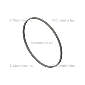 Cummins Ring 1203812 