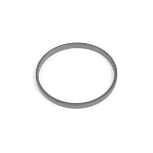 Spicer PISTON SEAL RI 519768 