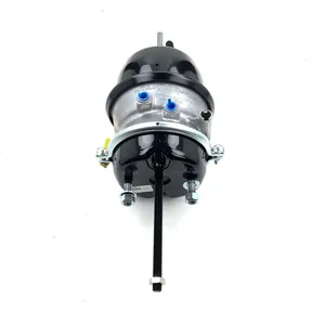 MGM Spring Brake (Piggy Back) Assembly 253296 