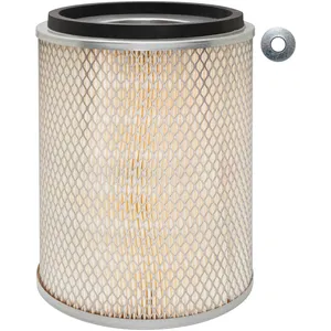 Baldwin Air Filter 276960 