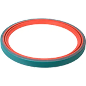 SKF Seal 480798 