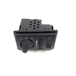 PAI Switch, Headlight 253854 