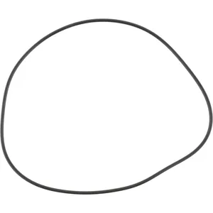 Spicer O RING 516046 