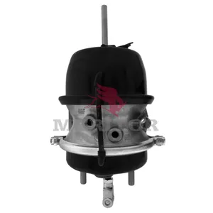 Meritor Ay-Chmbr Brake 750874 