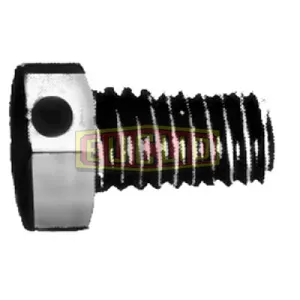 Euclid Lock Screw 1070012 
