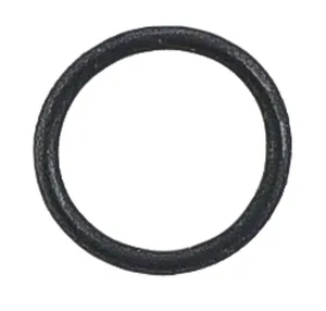 TruckAir Oring 900598 