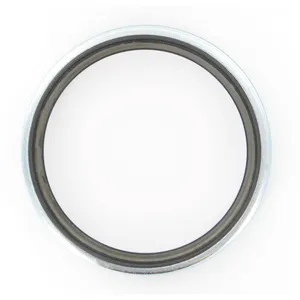 SKF Seal 484720 