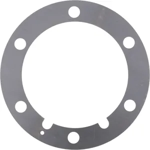 Spicer SHIM .020 309022 