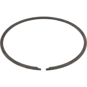 Spicer SNAP RING-RETA 516598 